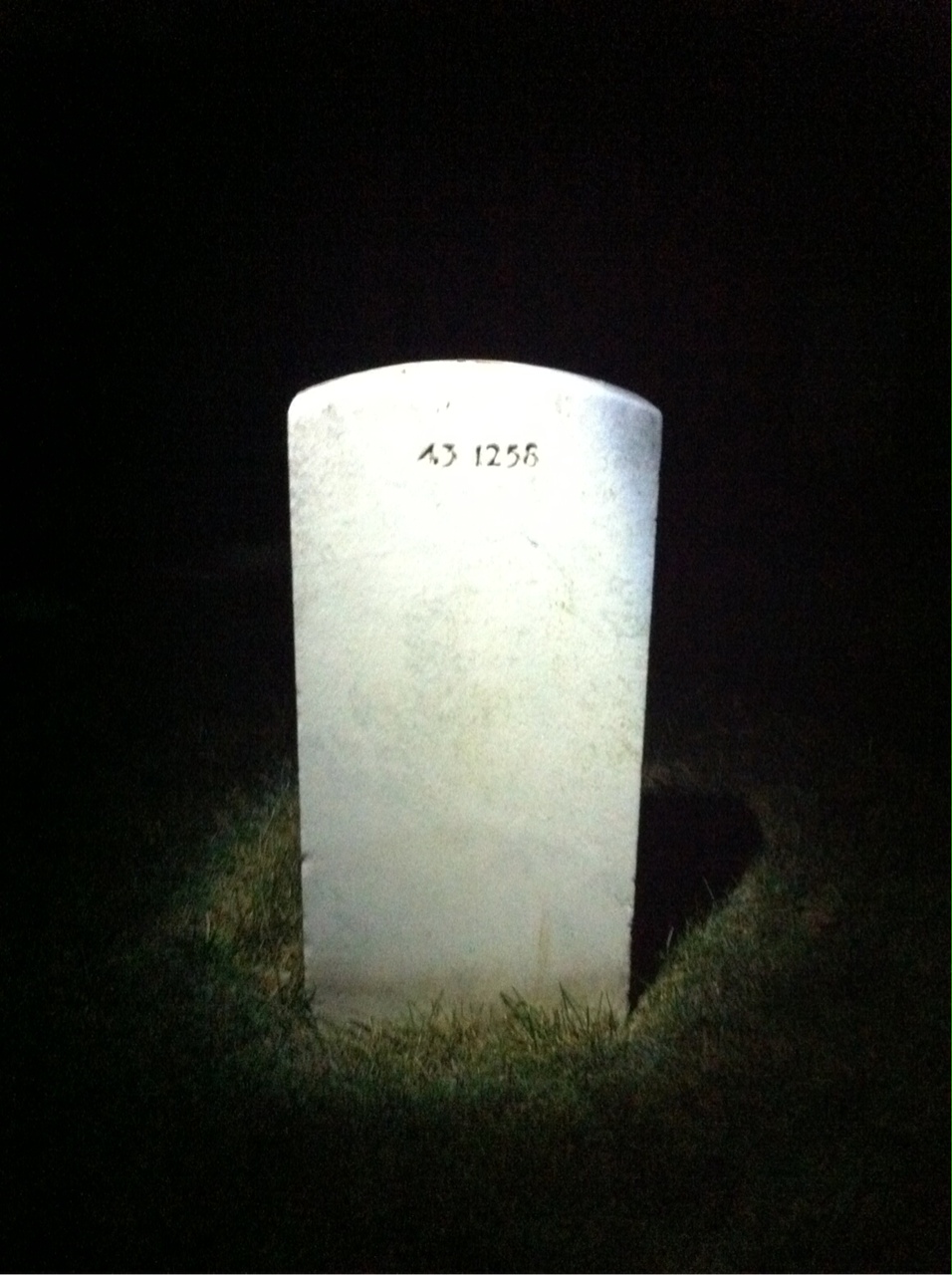 Back of headstone — William P Shelton