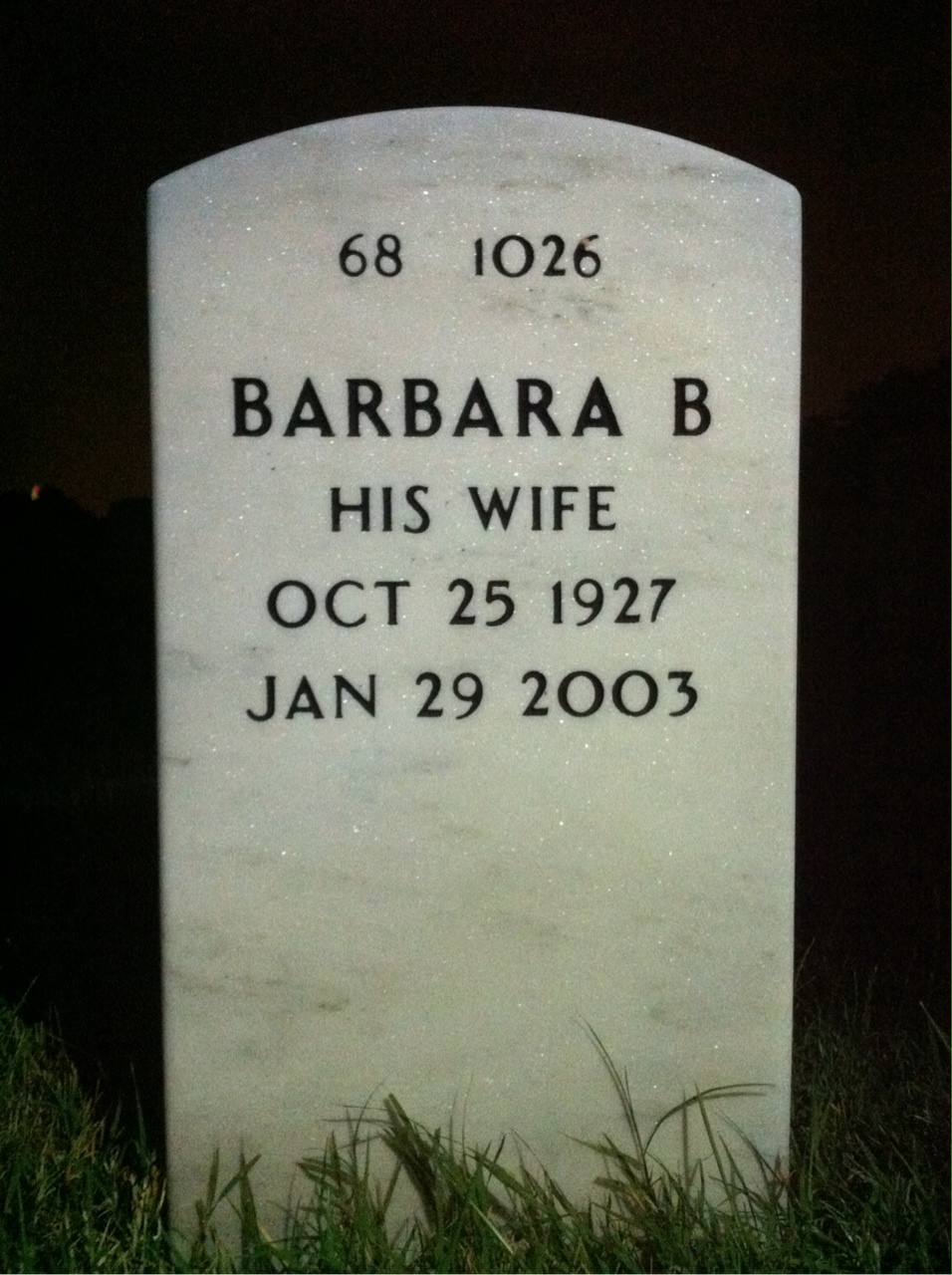 Back of headstone — Levi Brown