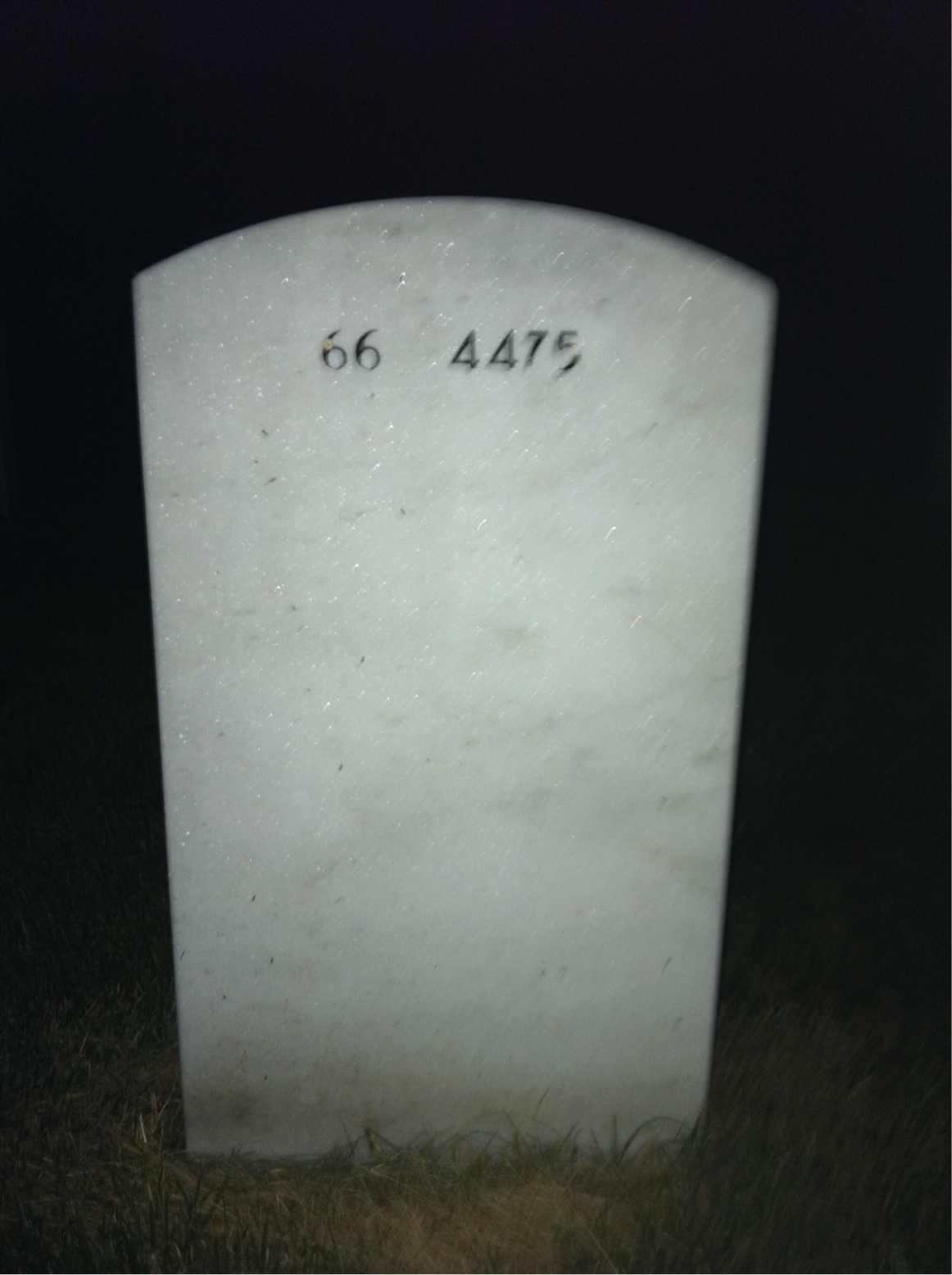 Back of headstone — Harold Steele