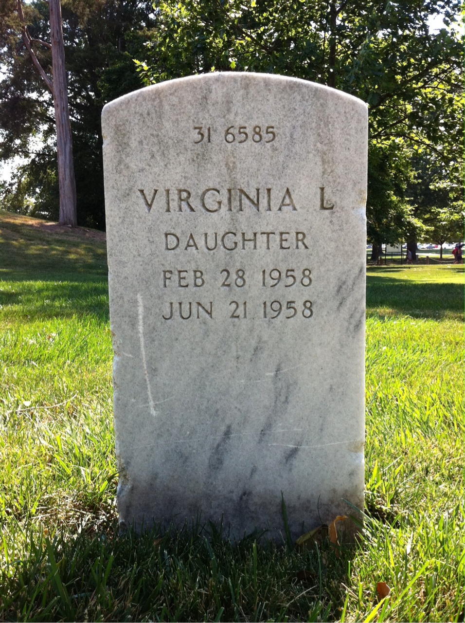 Back of headstone — James Cox