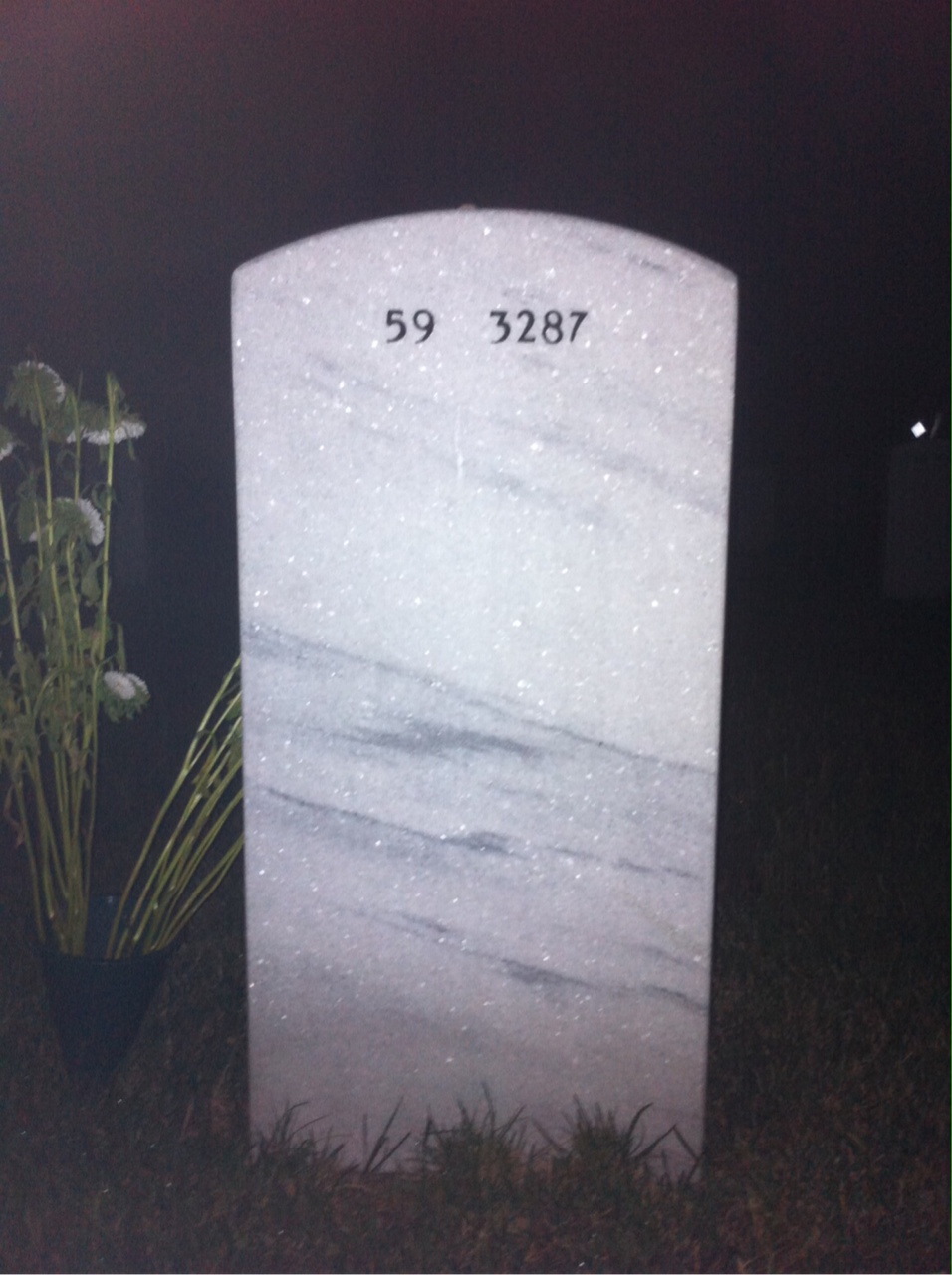 Back of headstone — Leroy Fields
