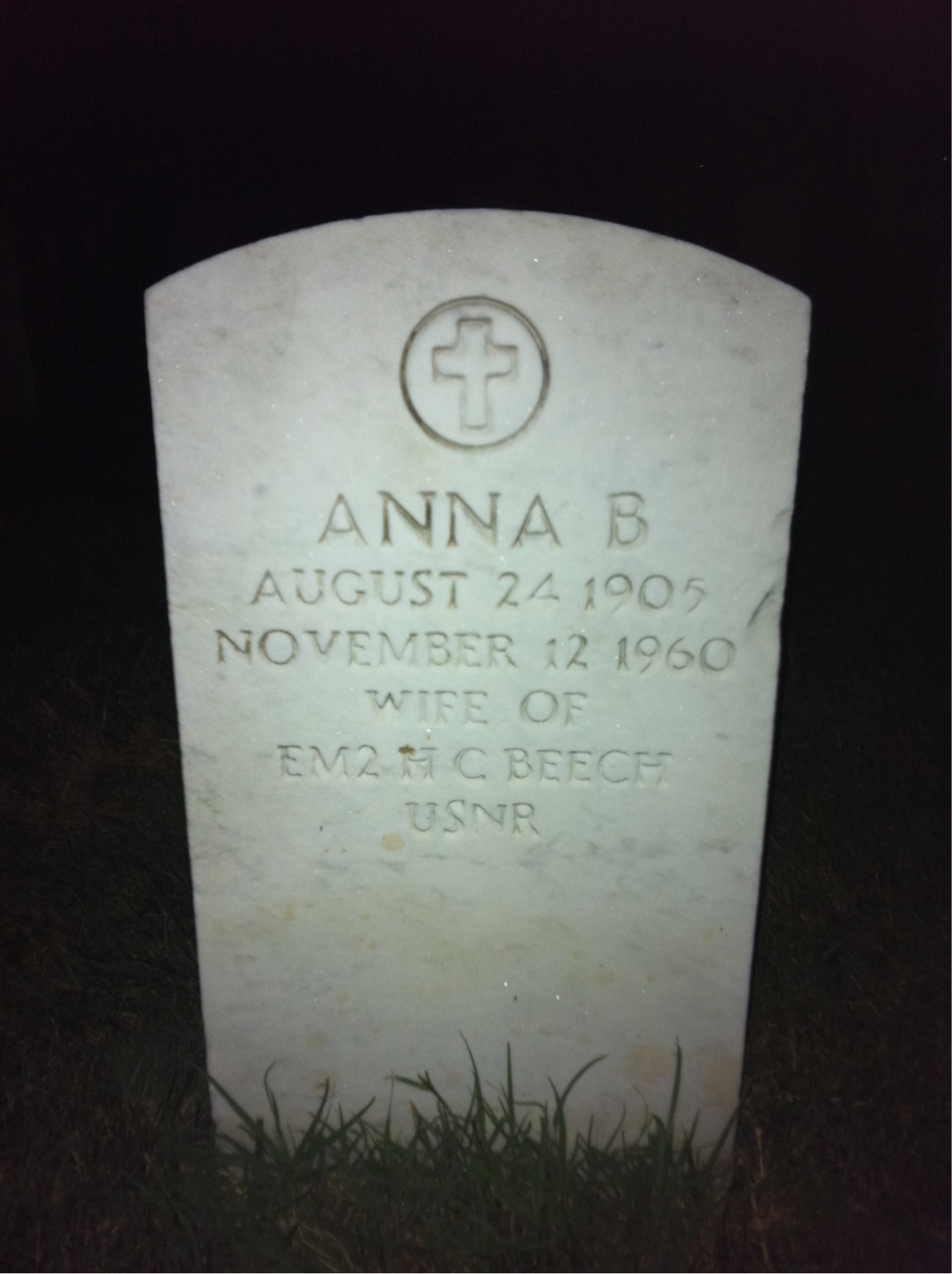 Anna Beech