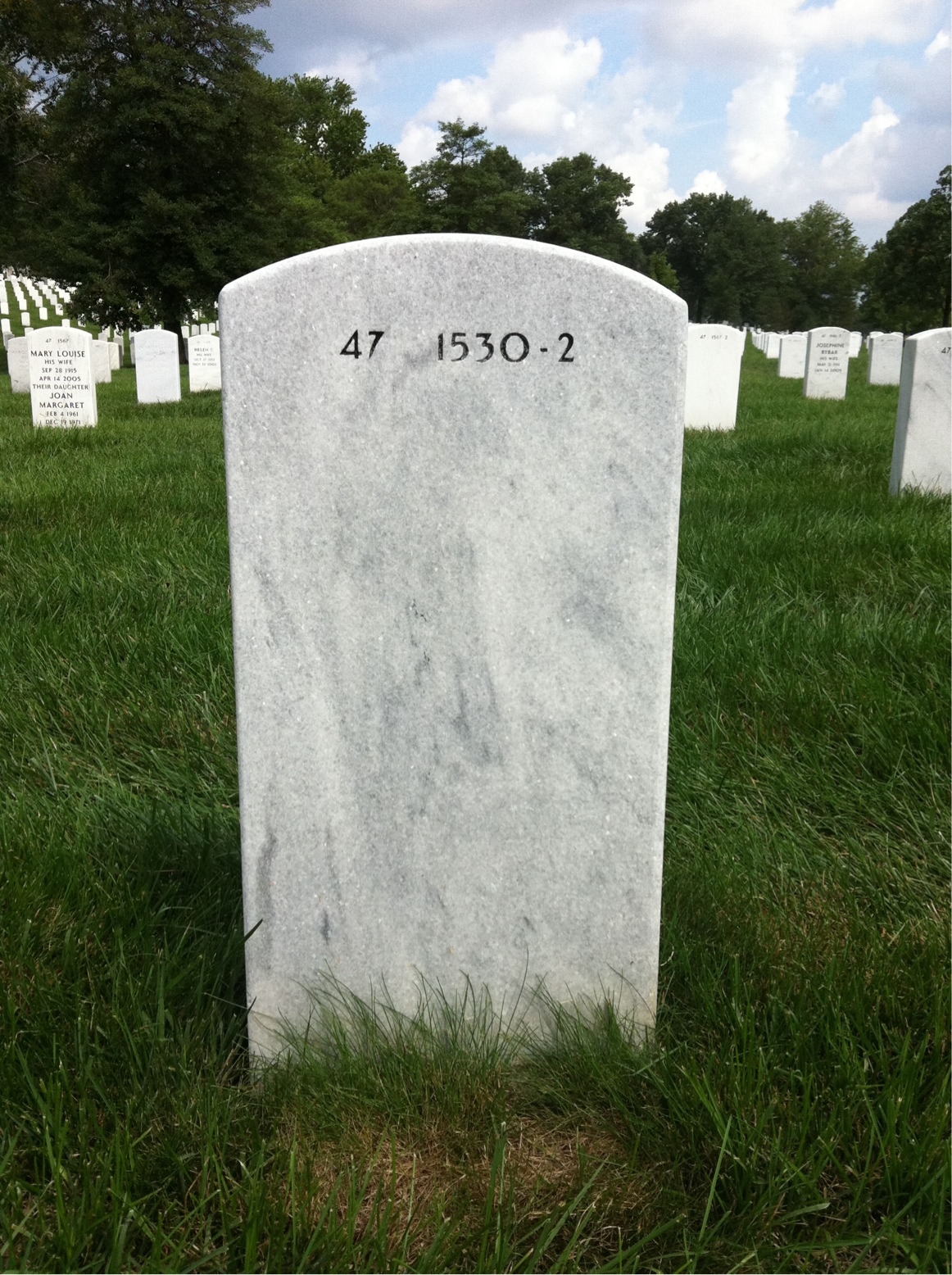 Back of headstone — Terry Bird