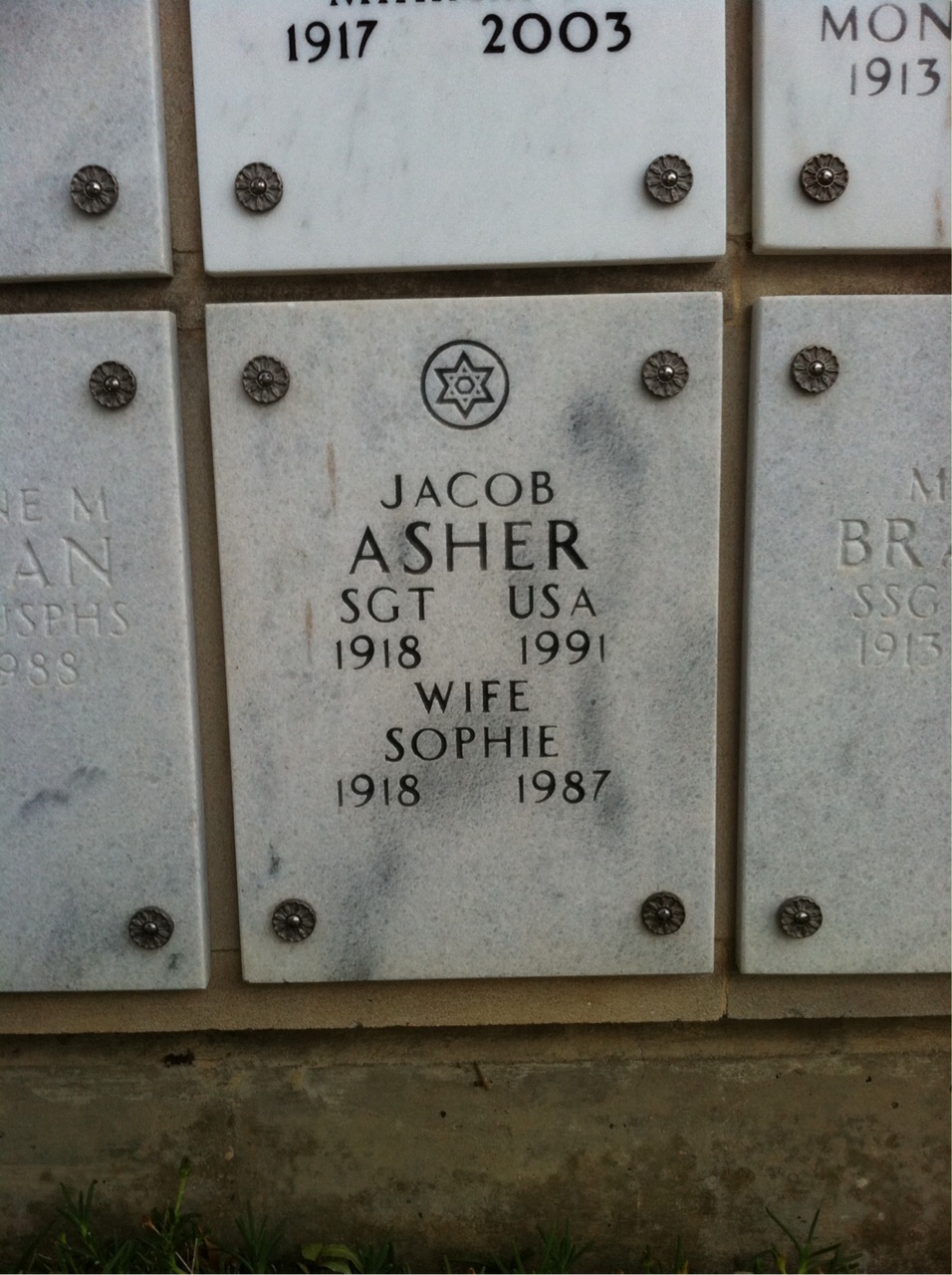 Sophie Asher