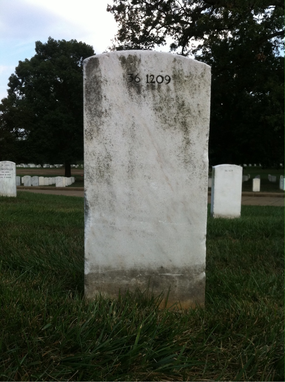 Back of headstone — Chloe Murray