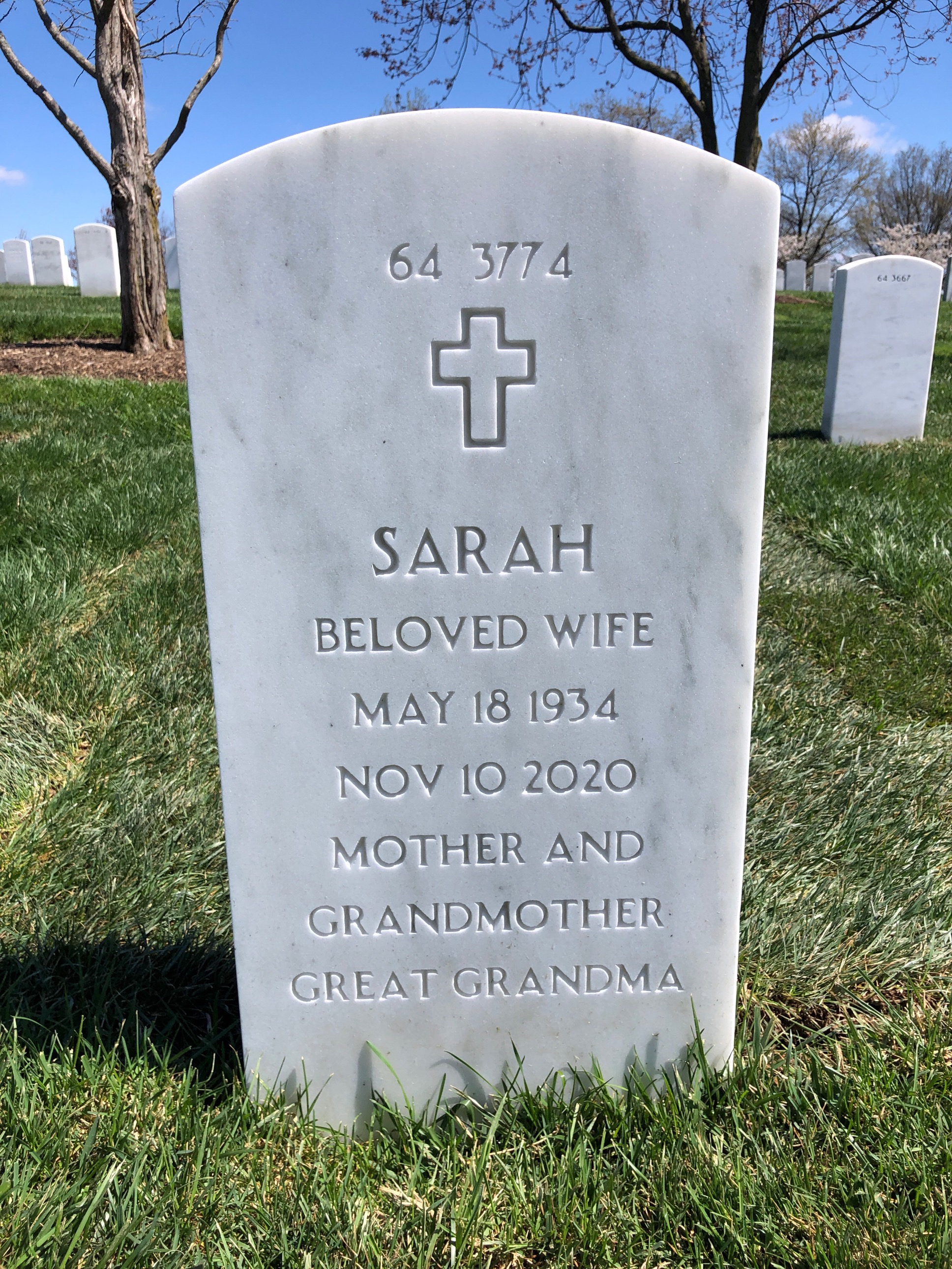 Back of headstone — Burgess Coleman