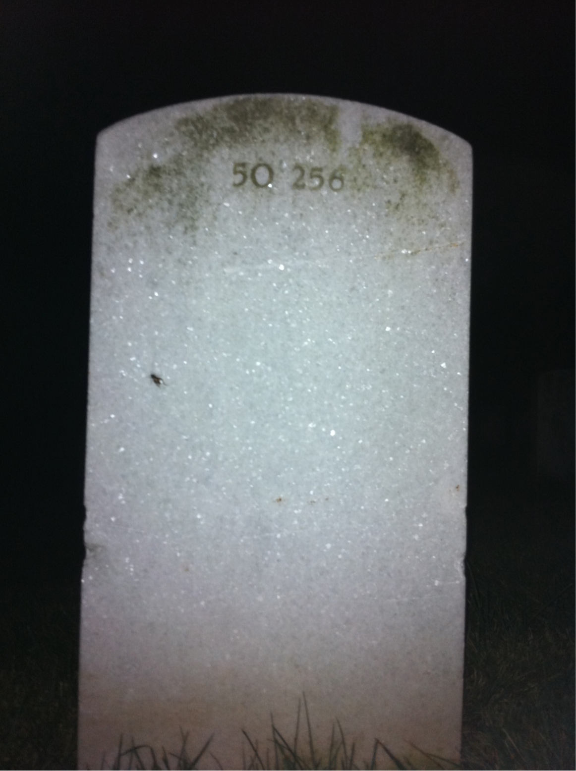 Back of headstone — William Oglesby