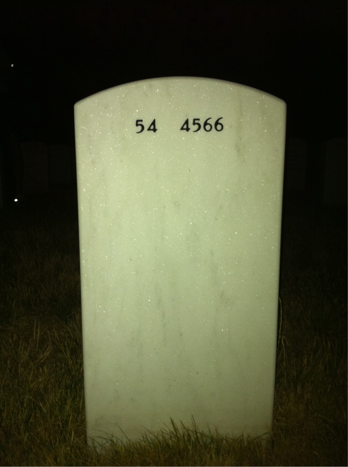 Back of headstone — Earl Rhine