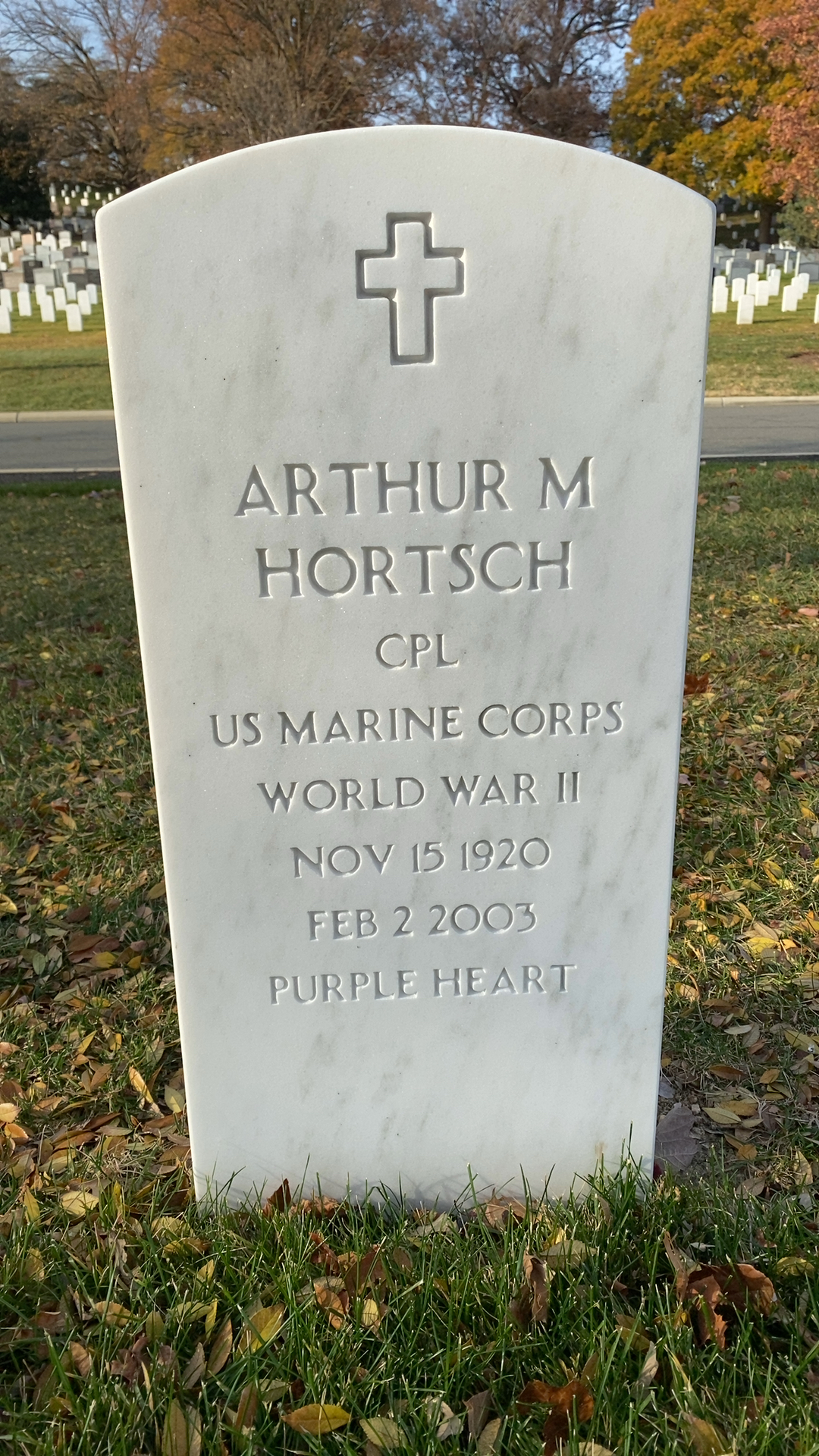 Arthur M Hortsch