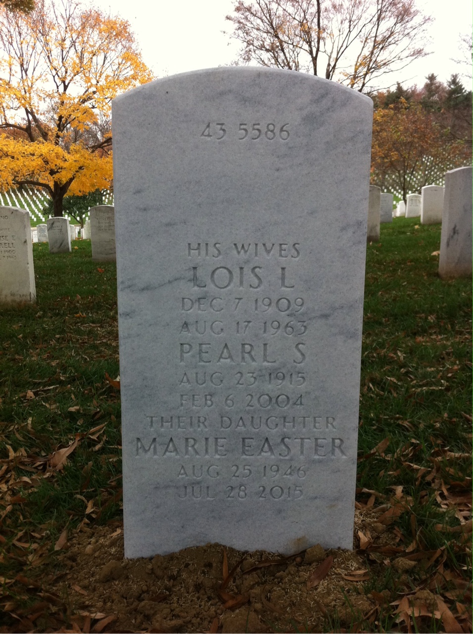 Back of headstone — William Law