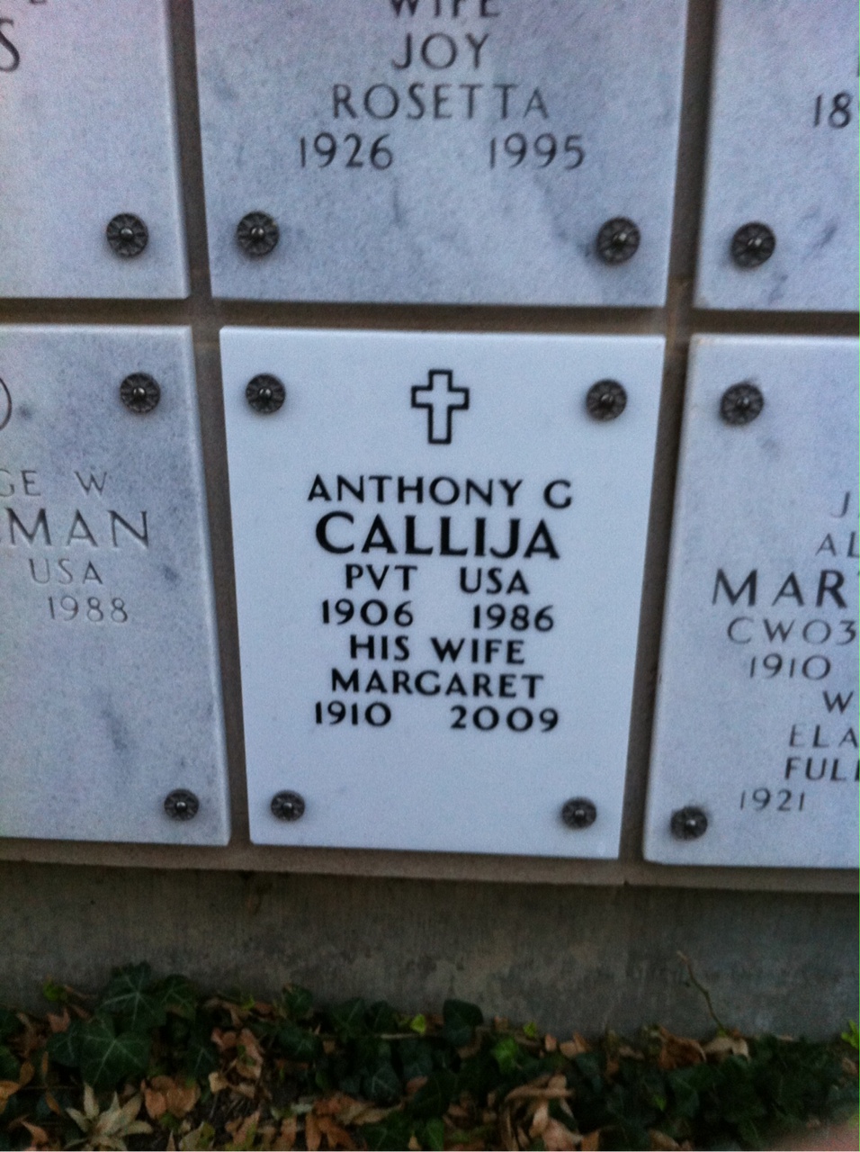 Anthony Callija