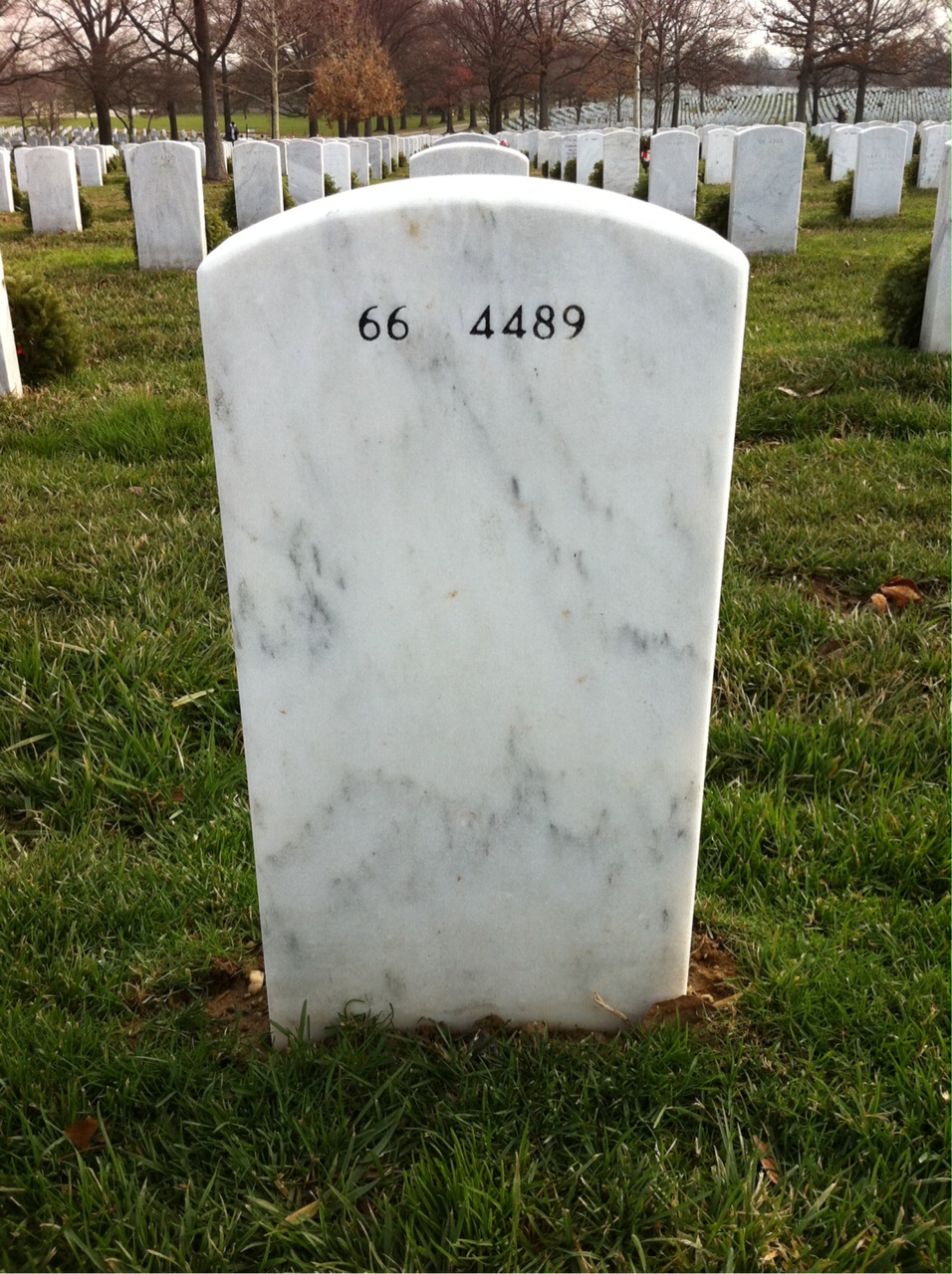 Back of headstone — Roosevelt Johnson