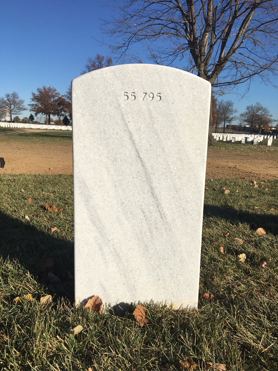 Back of headstone — Timothy Thomas Eckels