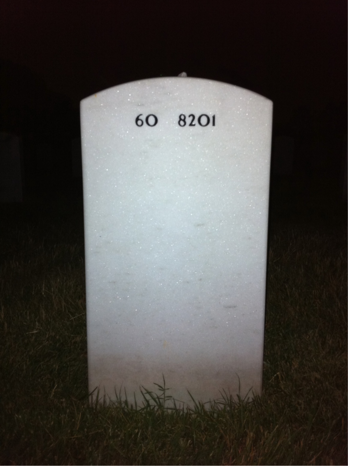 Back of headstone — Steven Auchman