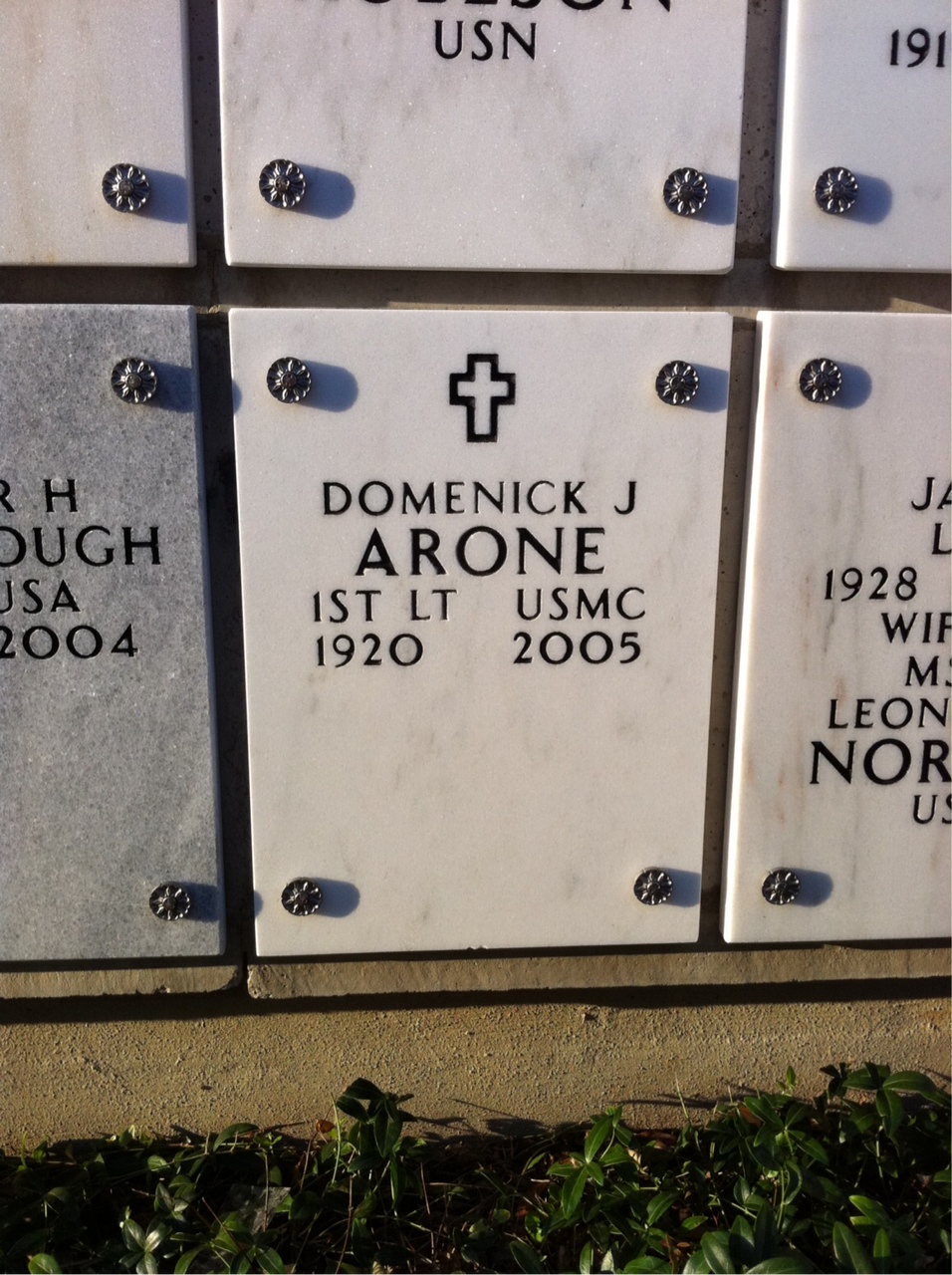 Domenick Arone