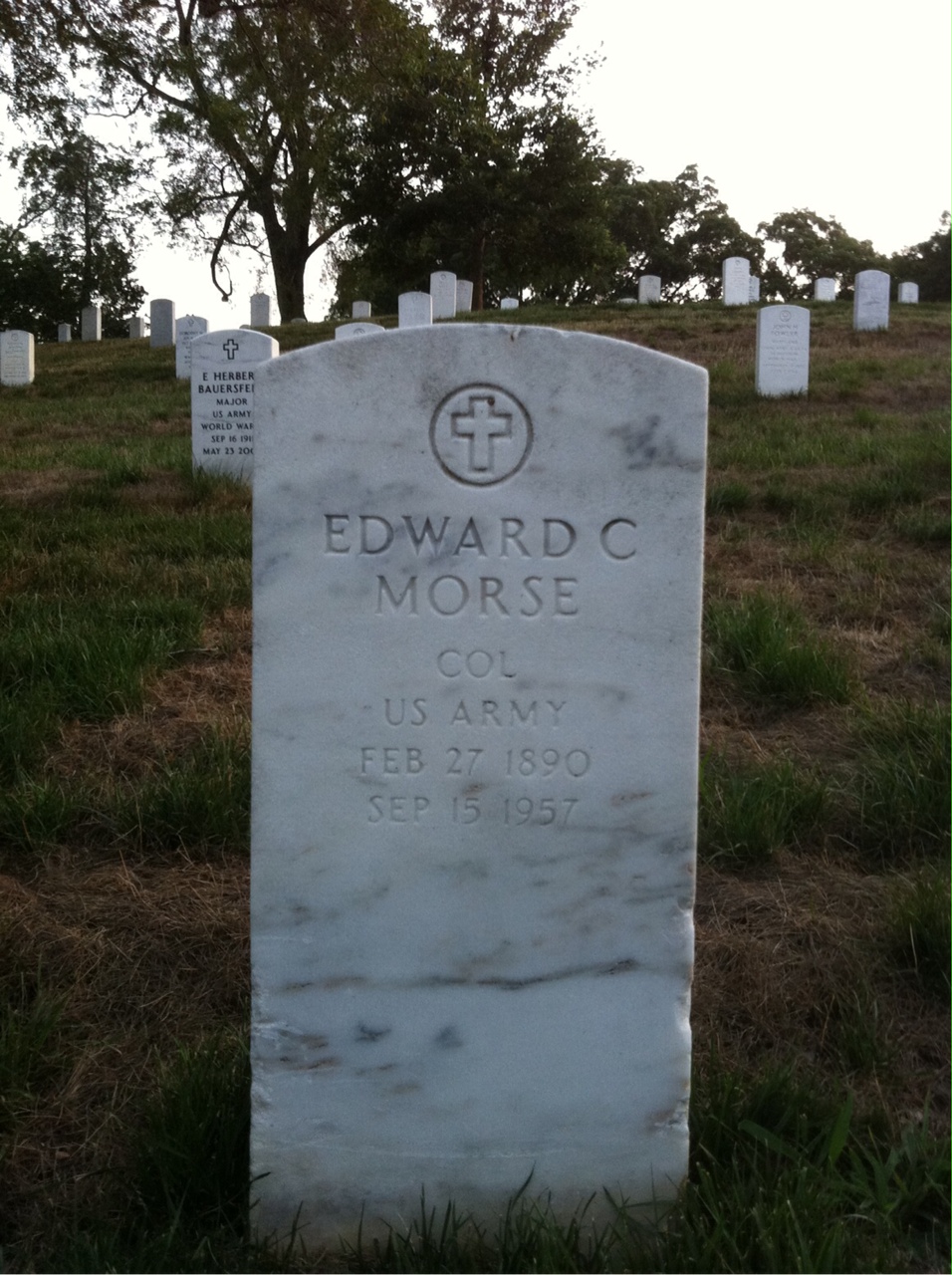 Renee Morse