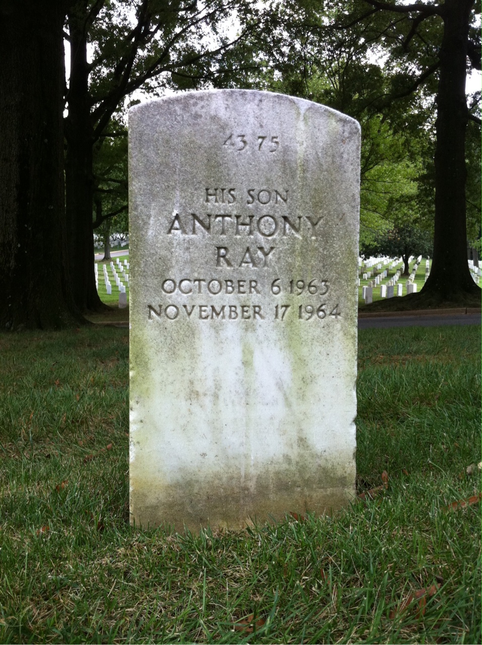 Back of headstone — Woodrow Boggs