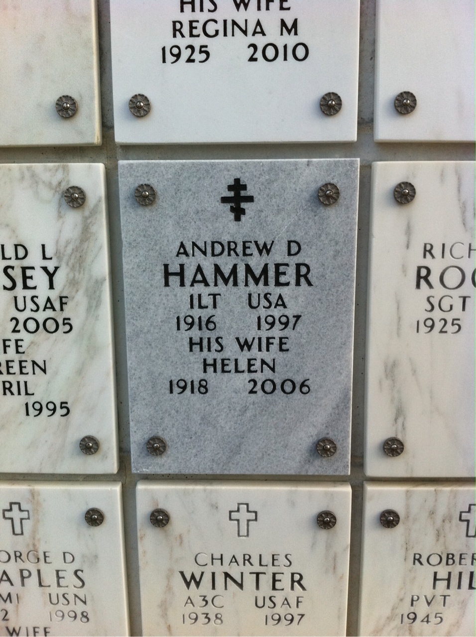 Andrew Hammer