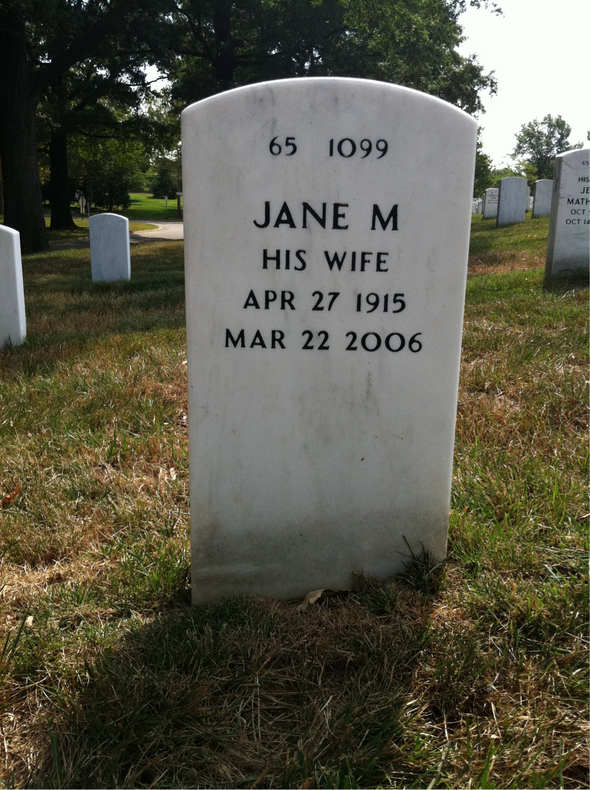 Back of headstone — Chester Surba