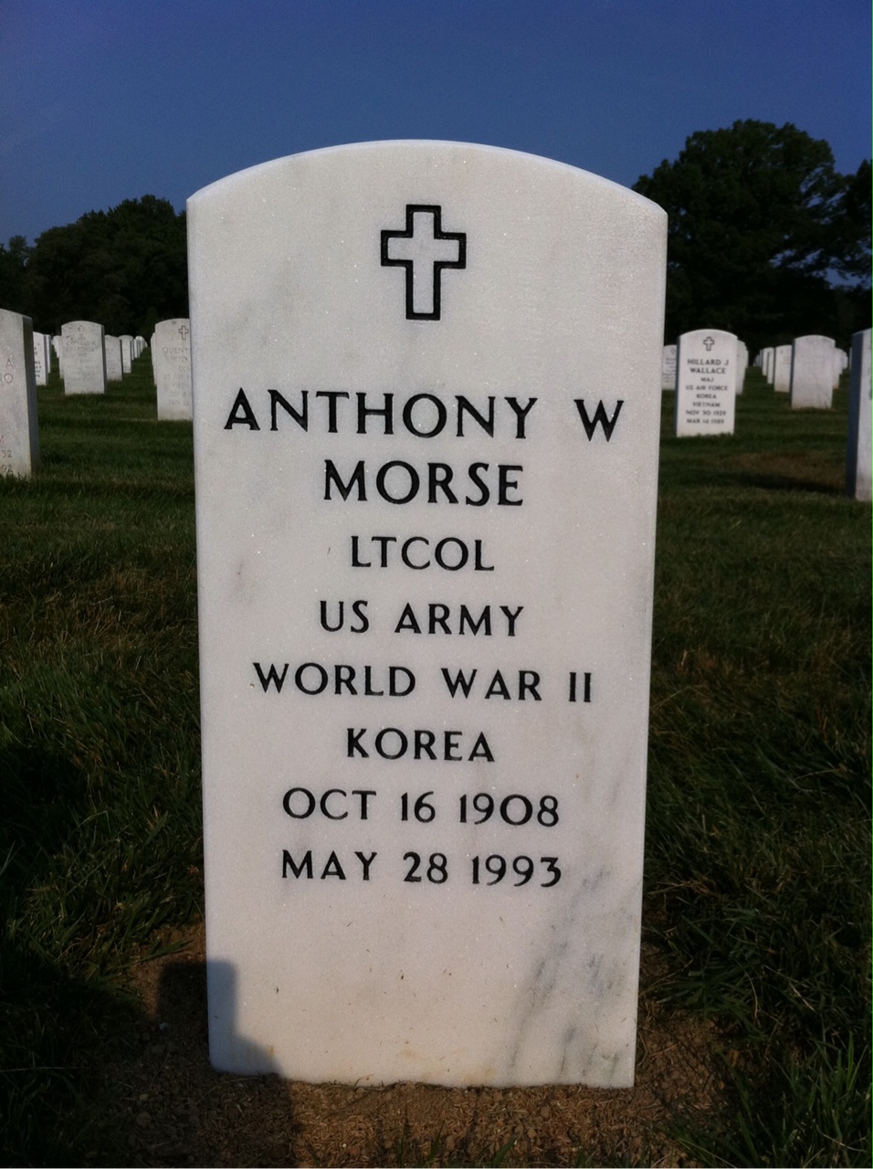 Anthony Morse