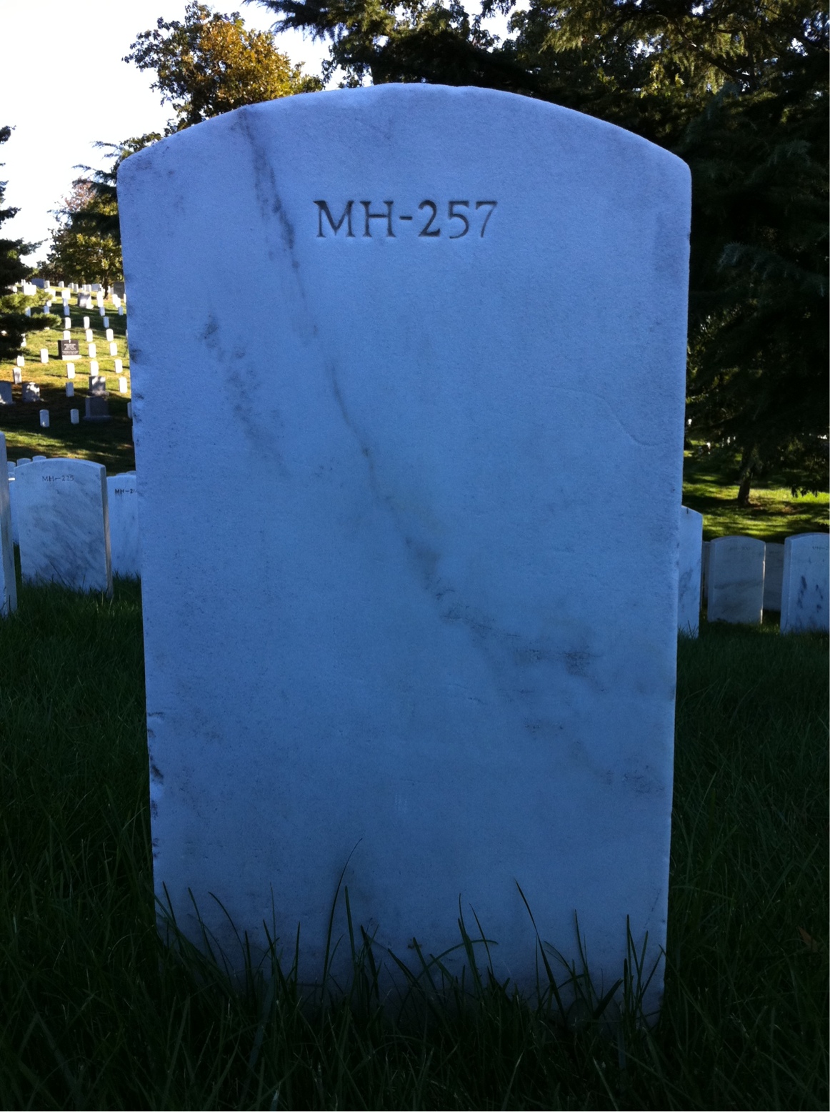 Back of headstone — Therman Waller