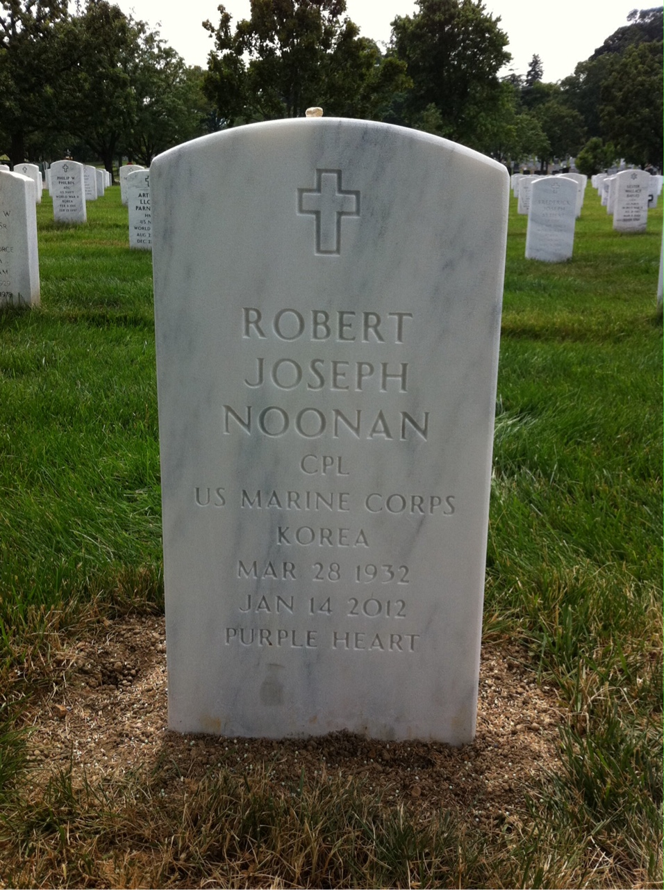 Agnes Noonan