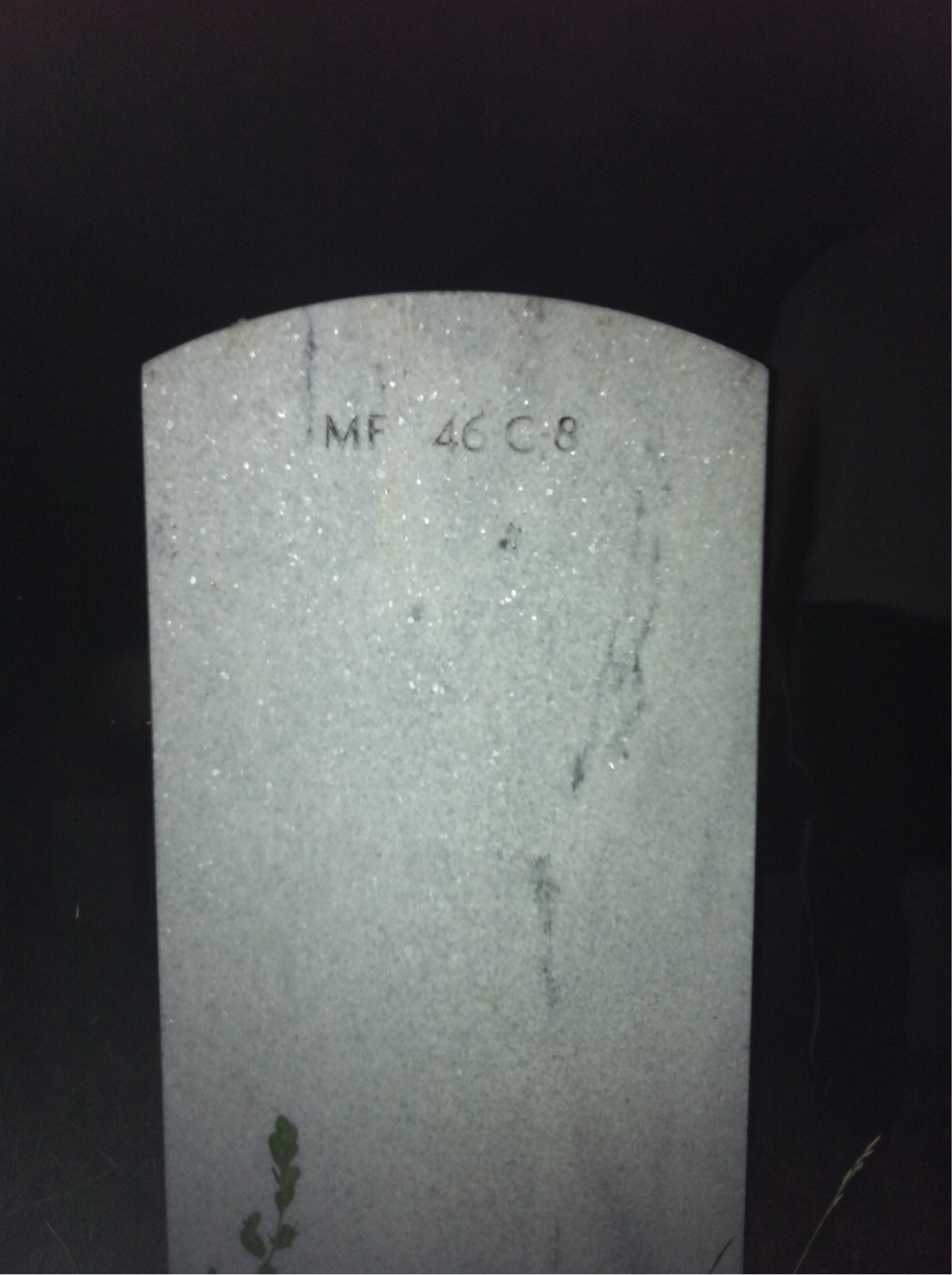 James L Agee headstone back
