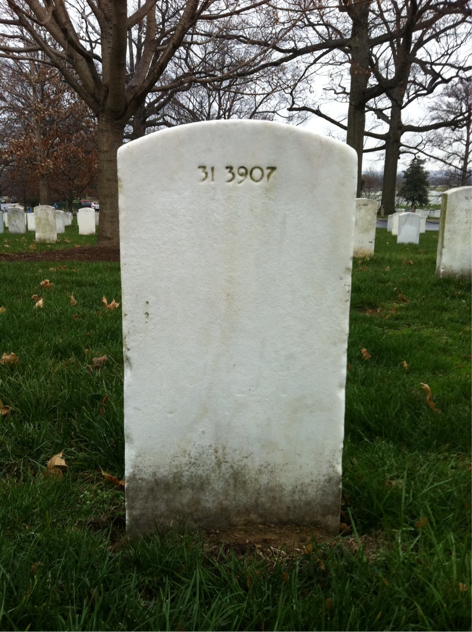 Back of headstone — Michael Moloney