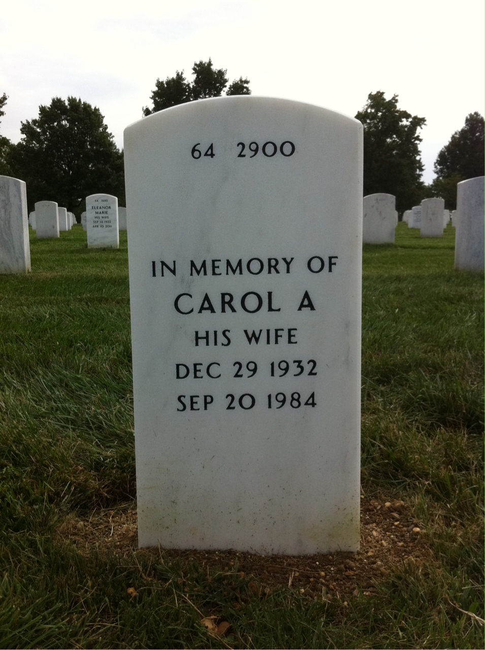 Back of headstone — Raymond Kamien