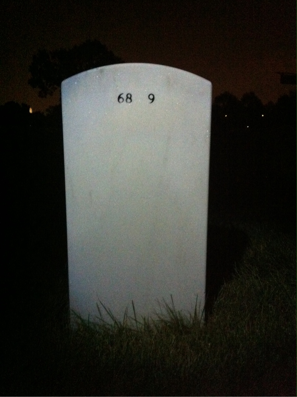 Back of headstone — James Wylie