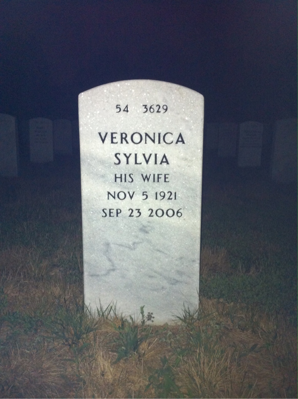 Back of headstone — Stephen Shedlow