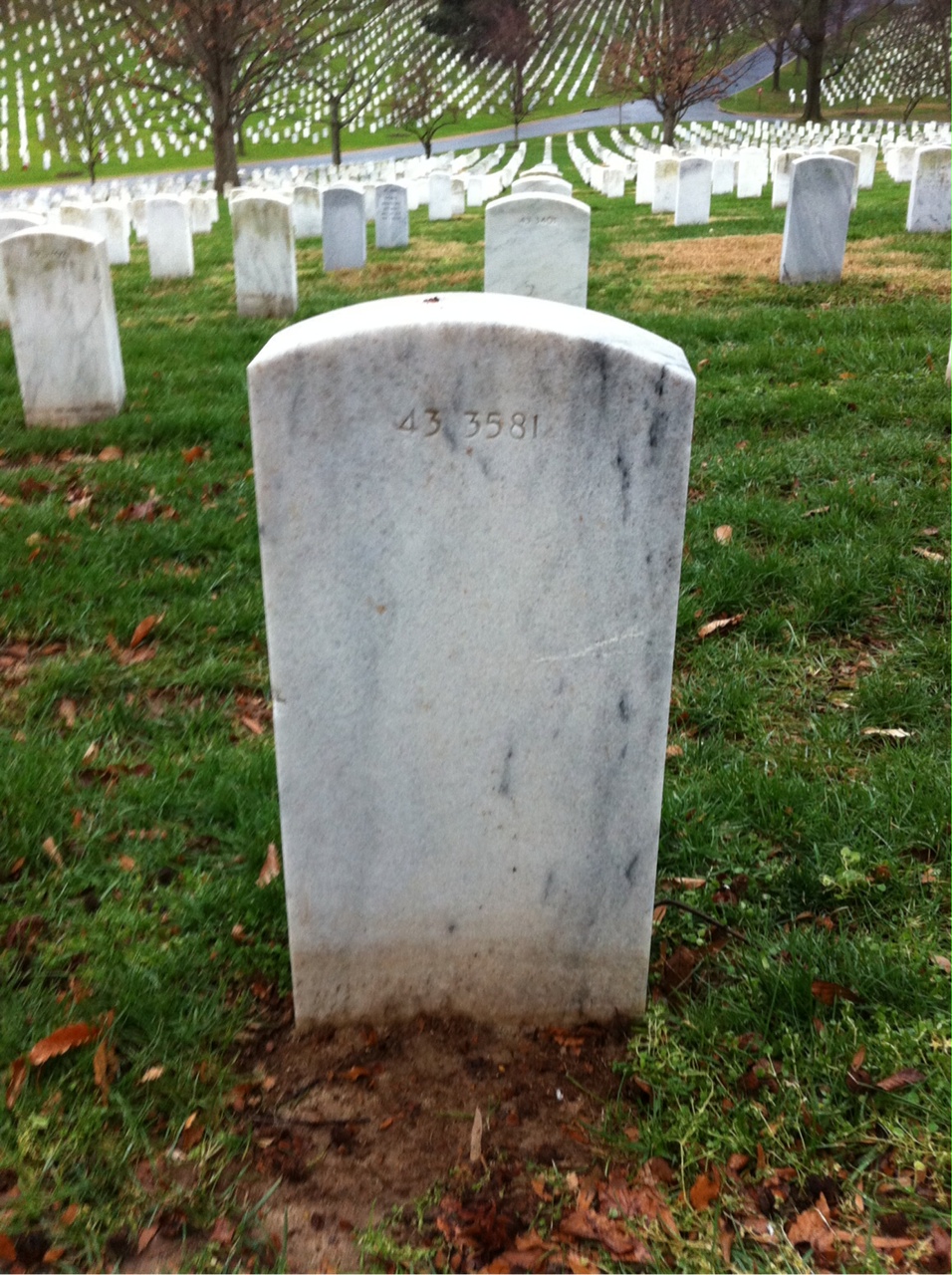 Back of headstone — Marion Berg