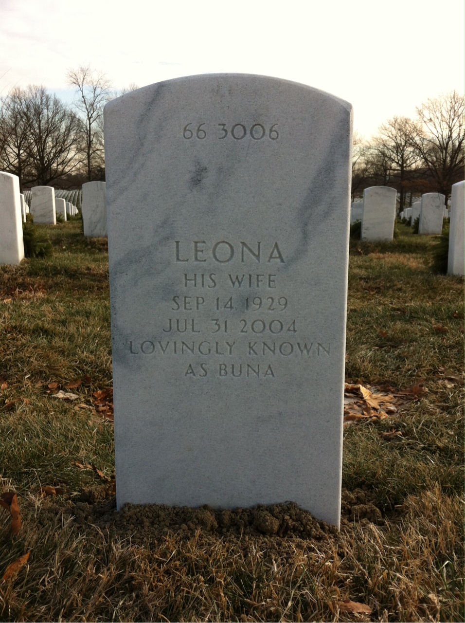 Back of headstone — Cornell Dumbravo