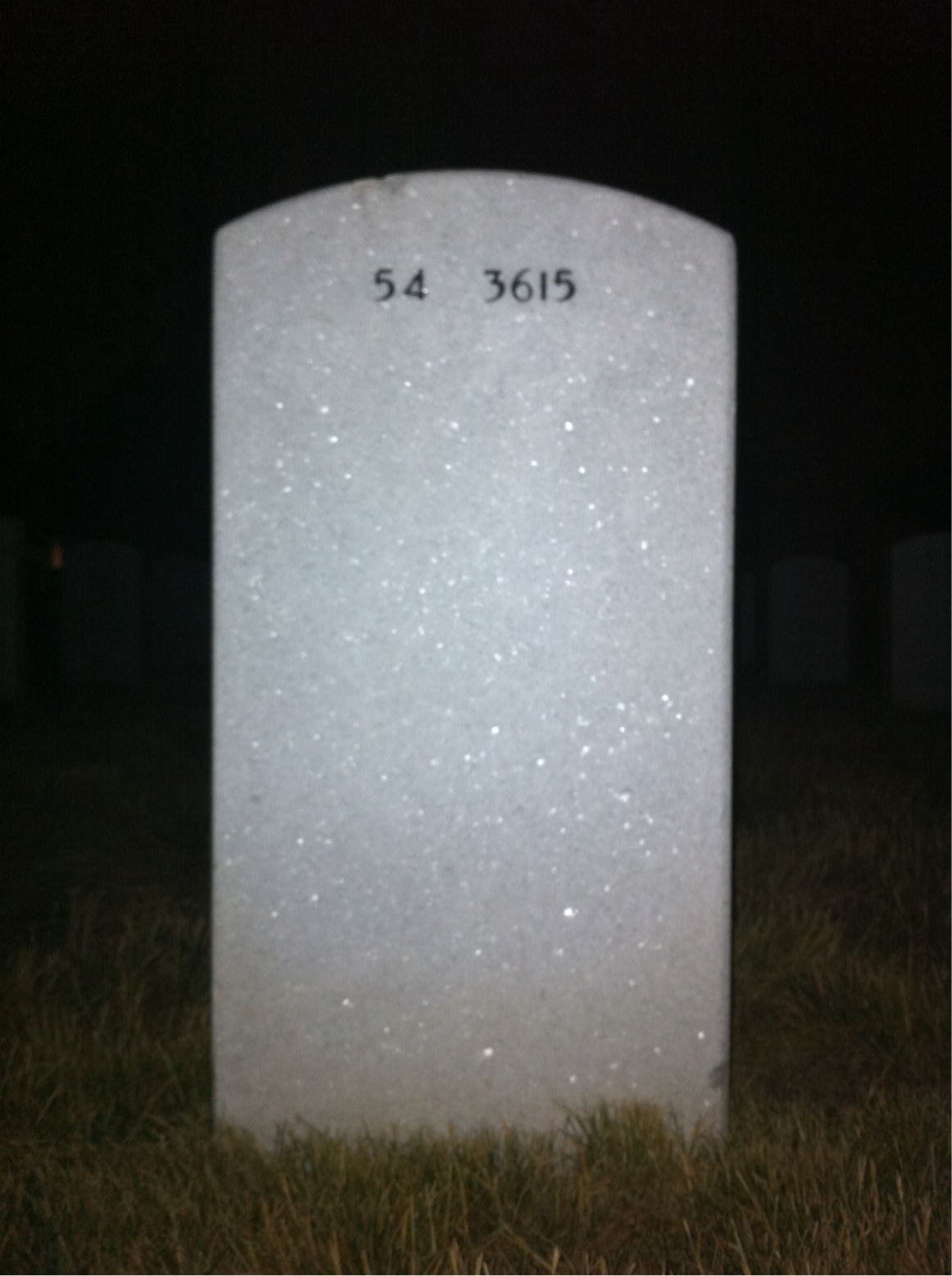 Back of headstone — Albert Betette