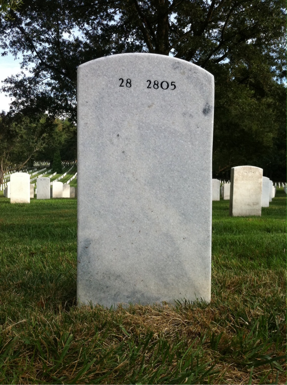 Back of headstone — Frances Myatt