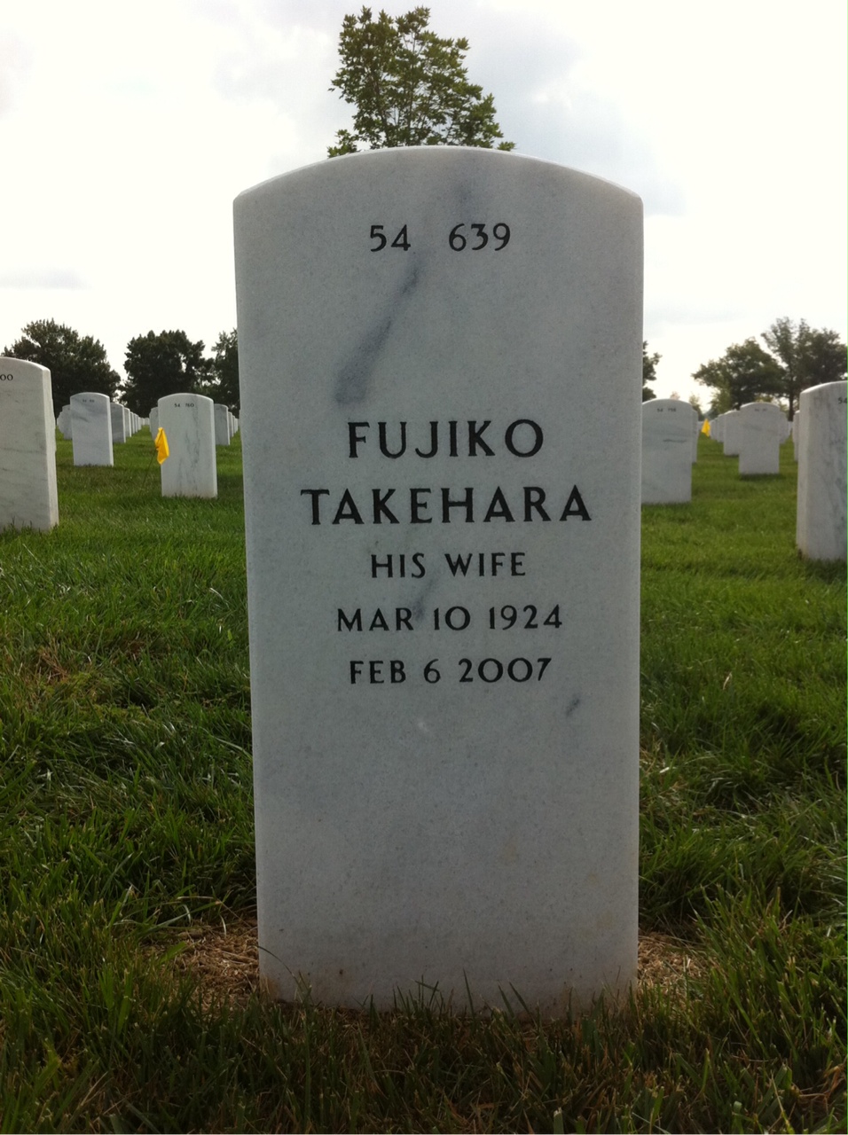 Back of headstone — Solomon Queen