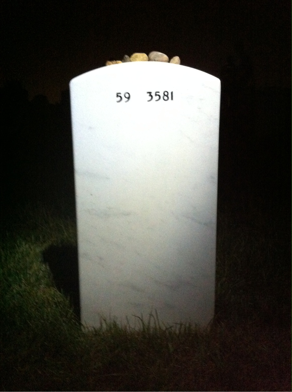 Back of headstone — Donald Browning
