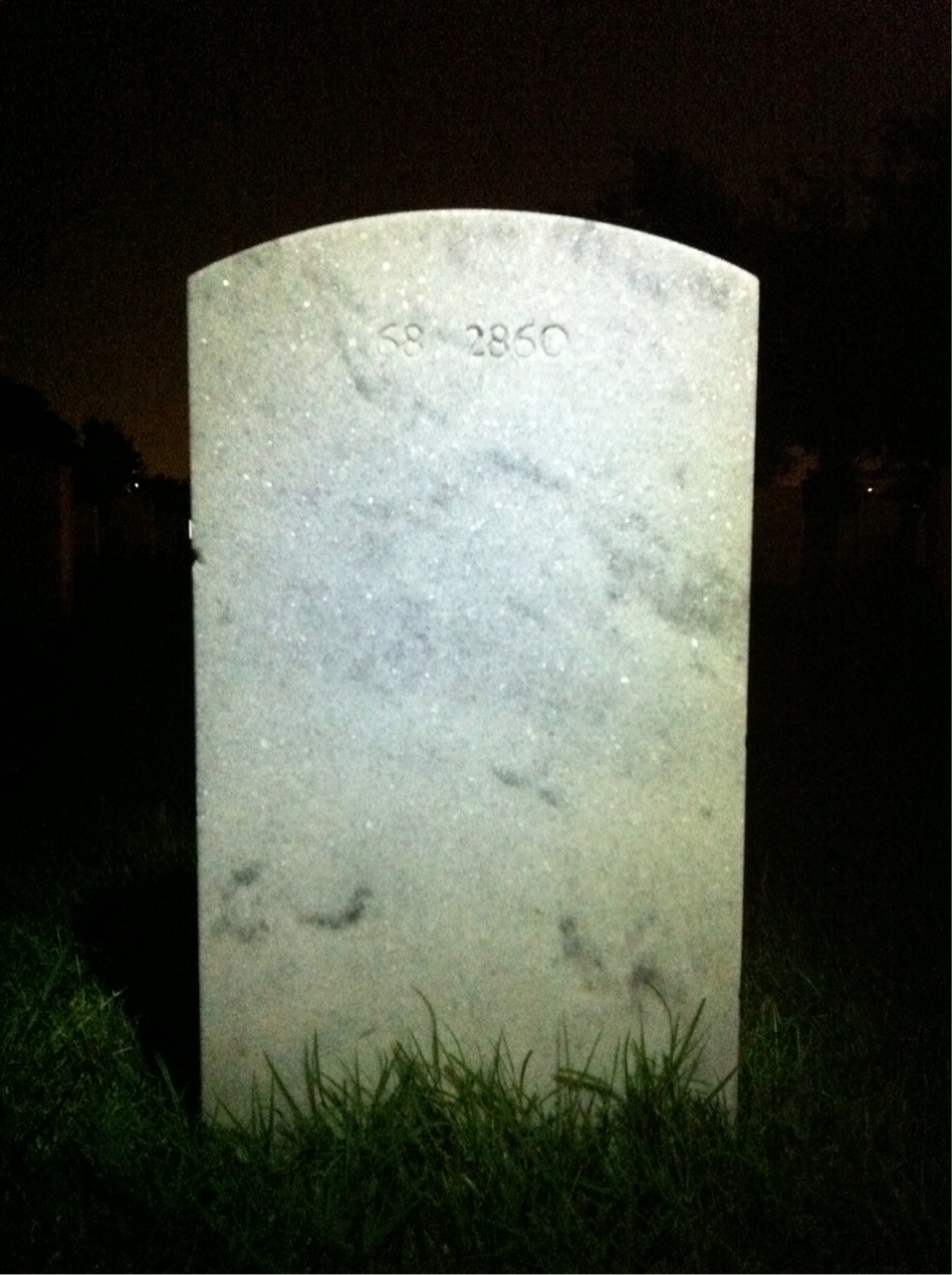 Back of headstone — Walter Harris Cole