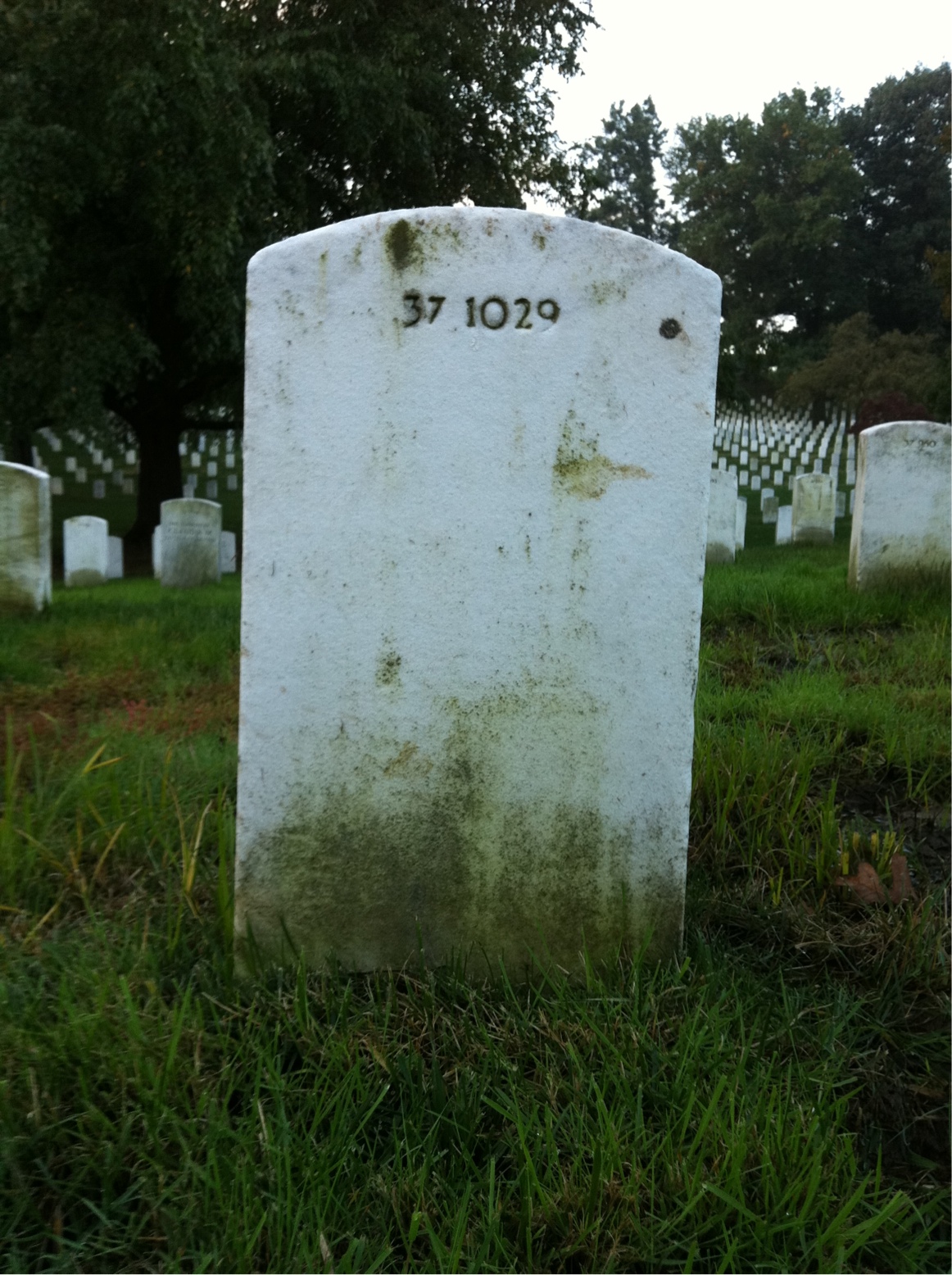Back of headstone — William M Jackson