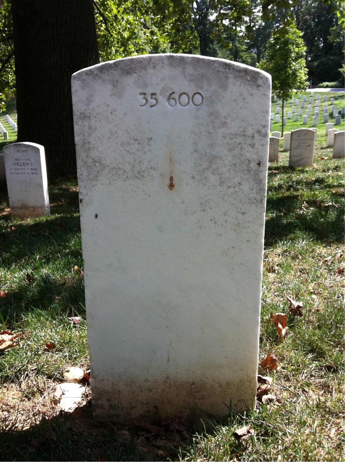 Back of headstone — Robert Bacchus