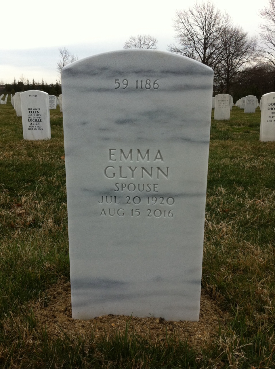 Back of headstone — William Foley