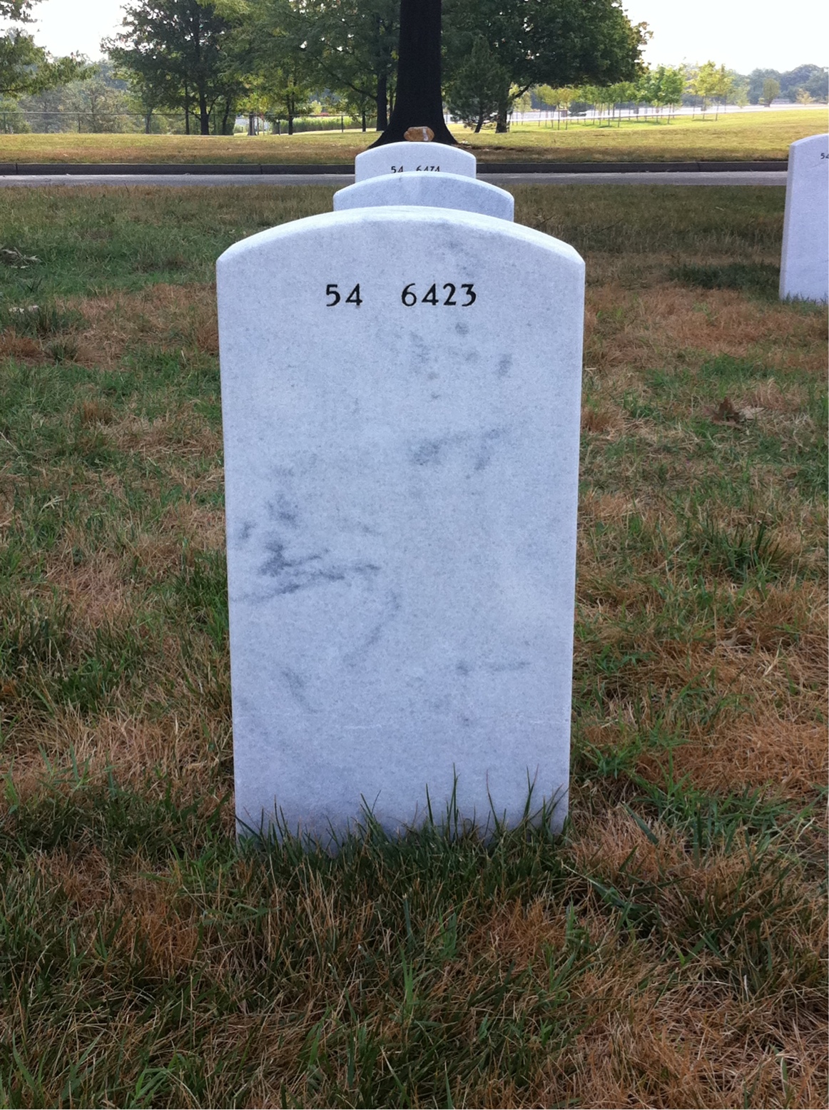 Back of headstone — David Cary