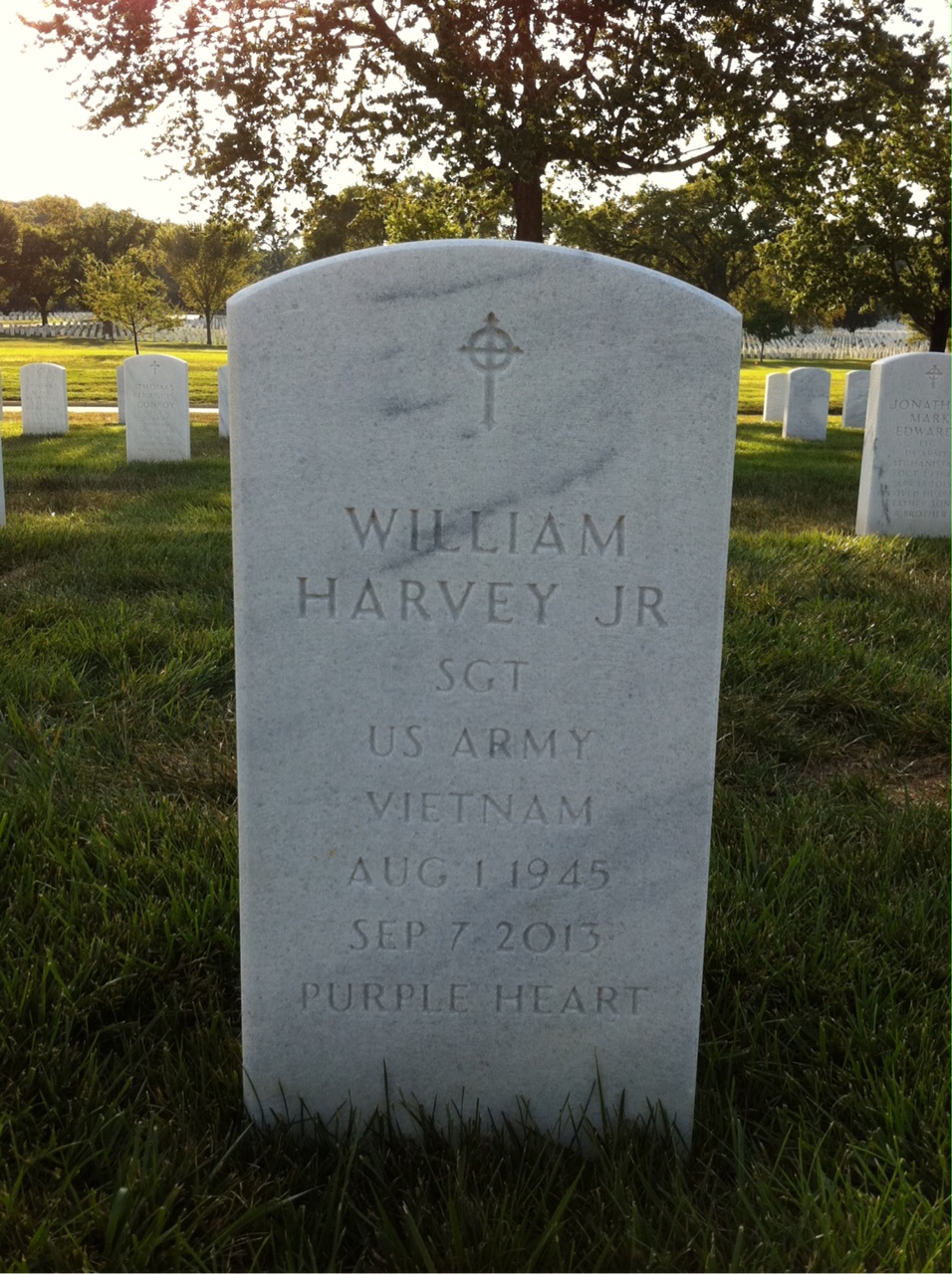 William D Harvey