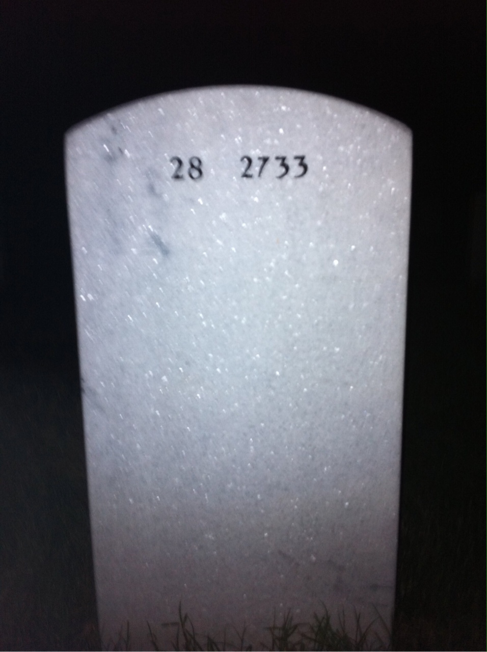 Back of headstone — Francis Radavitch