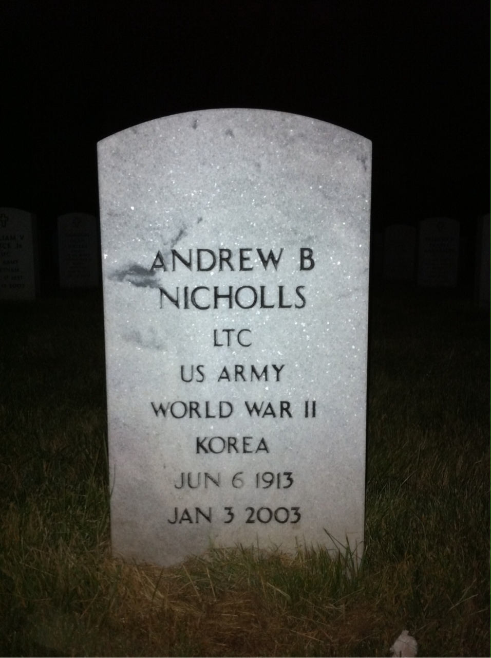 Andrew Nicholls