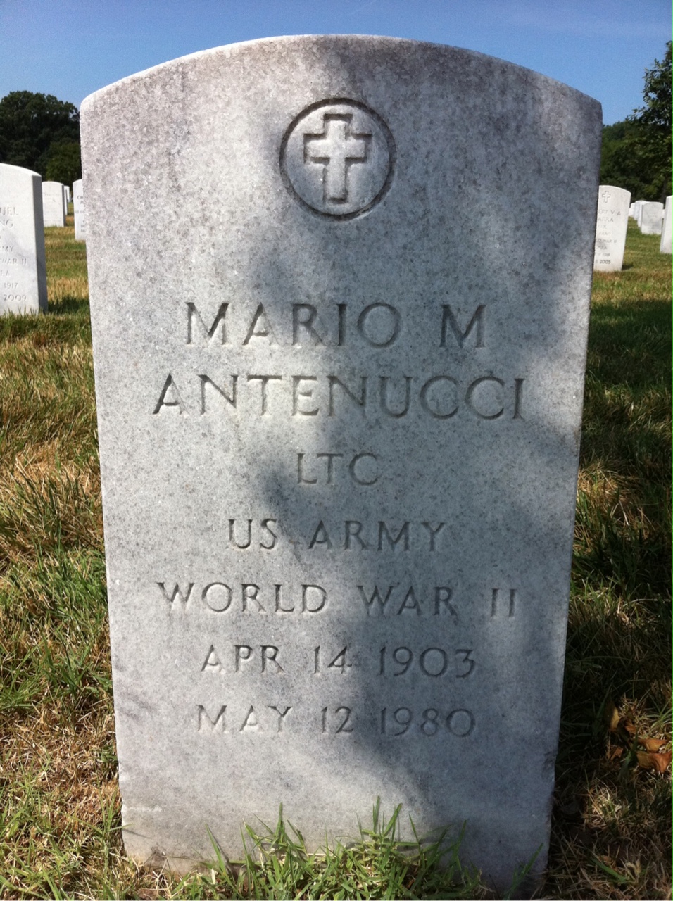 Lucille Antenucci
