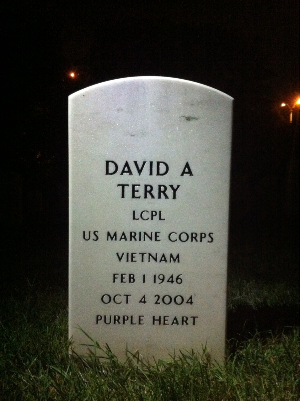 David Terry