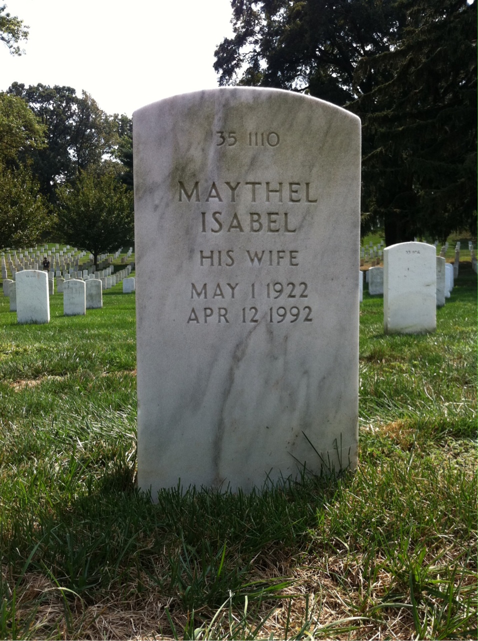 Back of headstone — Homer Allegree