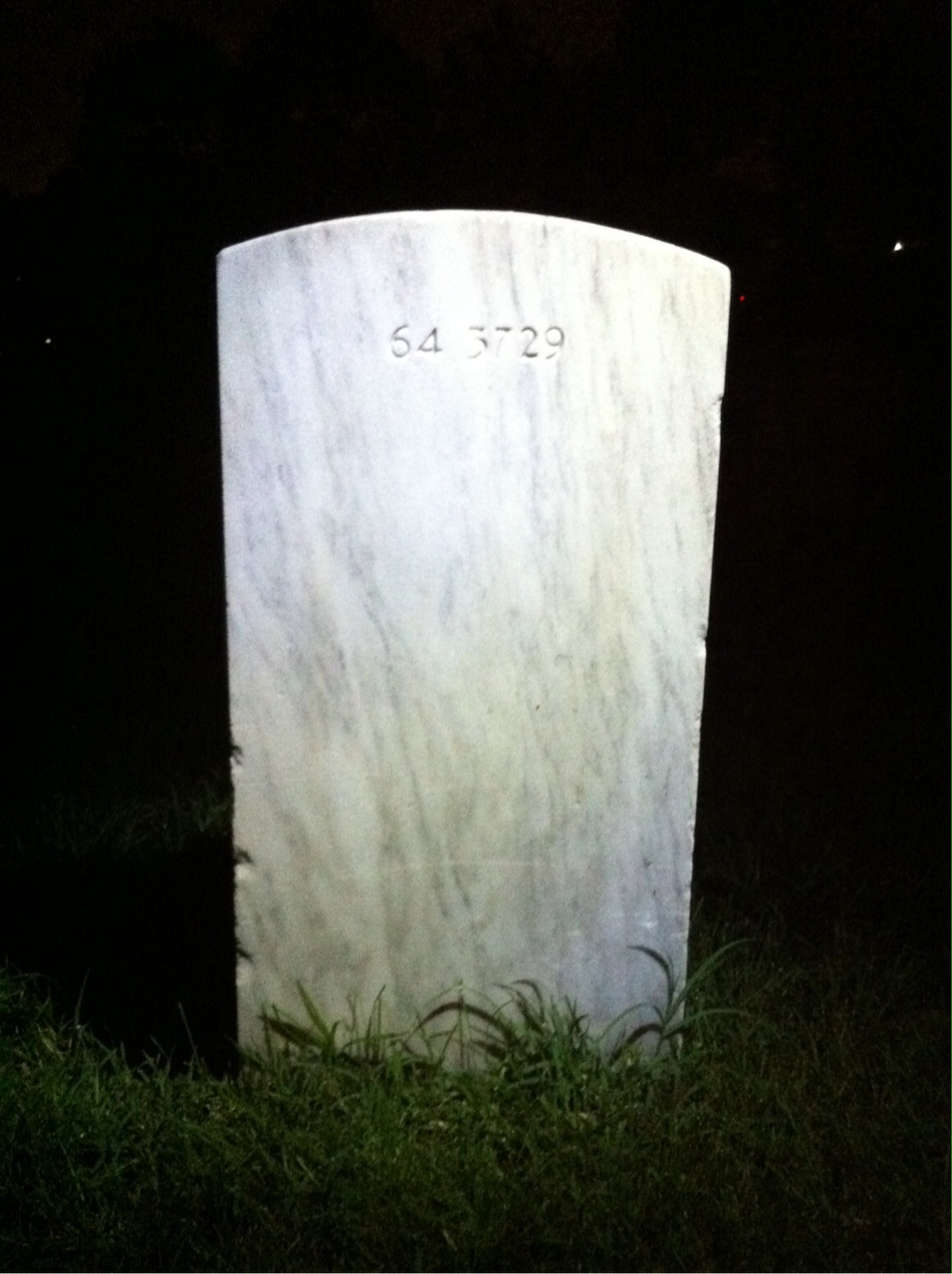 Back of headstone — Wayne Miller