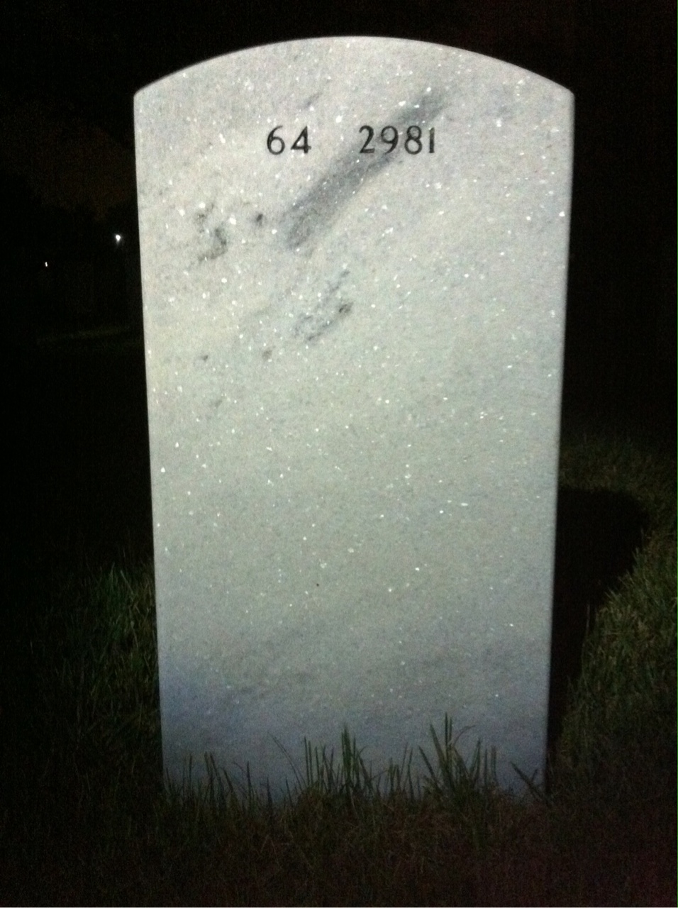 Back of headstone — Robert Lee